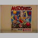 MSX-Japanese.jpg